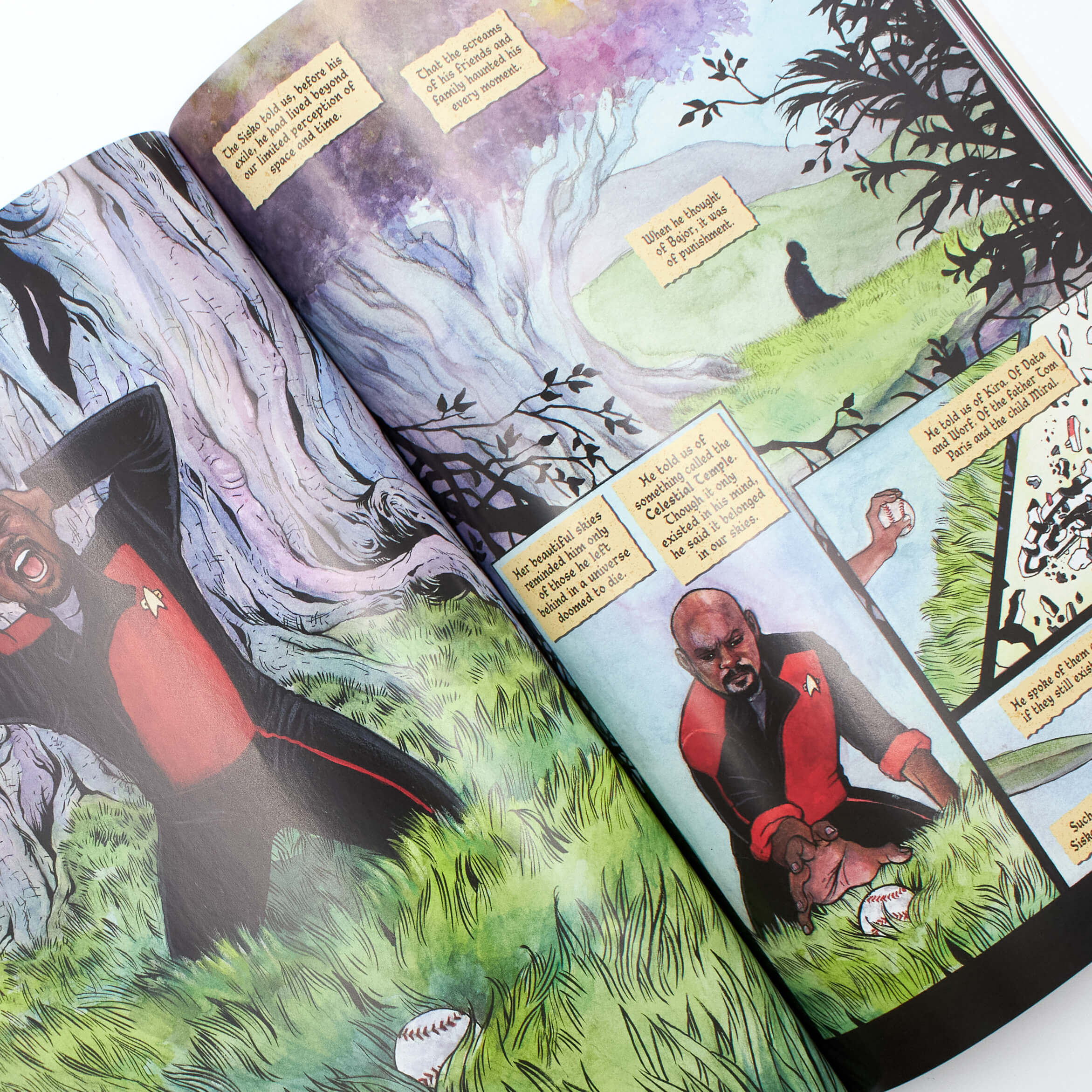 Star Trek, Vol. 5: When the Walls Fell - Image 2