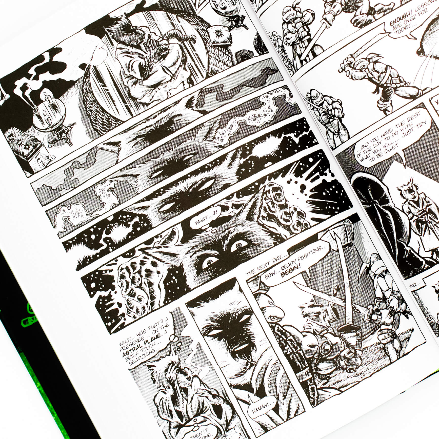 Teenage Mutant Ninja Turtles Compendium, Volume 1 - Image 2