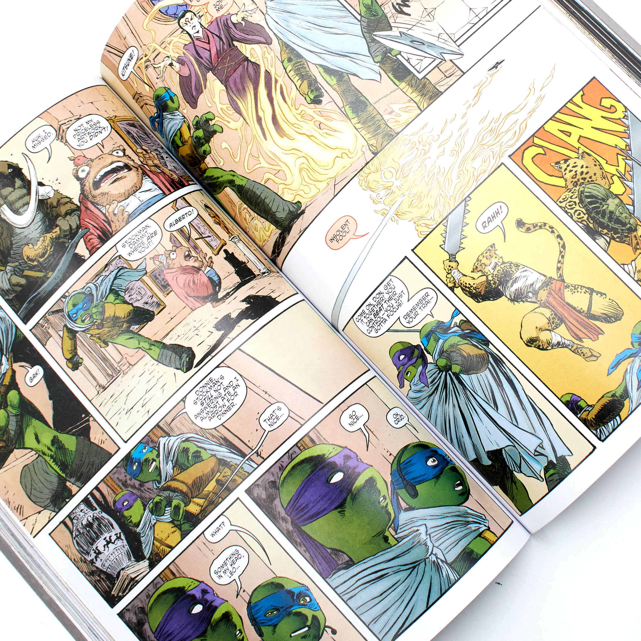 Teenage Mutant Ninja Turtles: The IDW Collection Volume 9 - Image 2