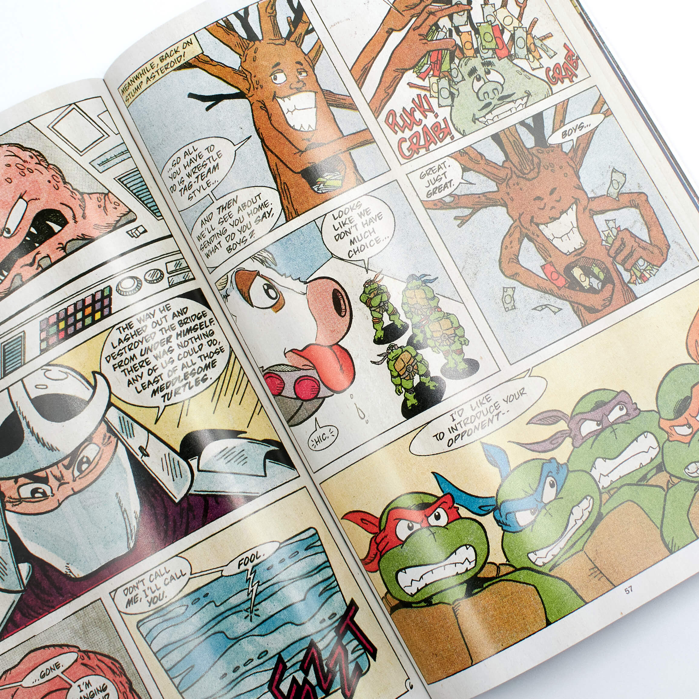 Teenage Mutant Ninja Turtles: Turtle Power Pack, Vol. 3 - Image 2
