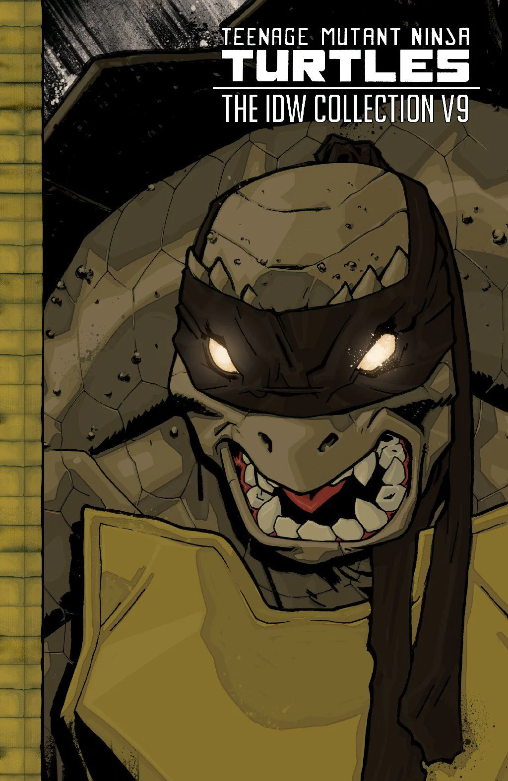 TMNT: The IDW Collection Vol. 9